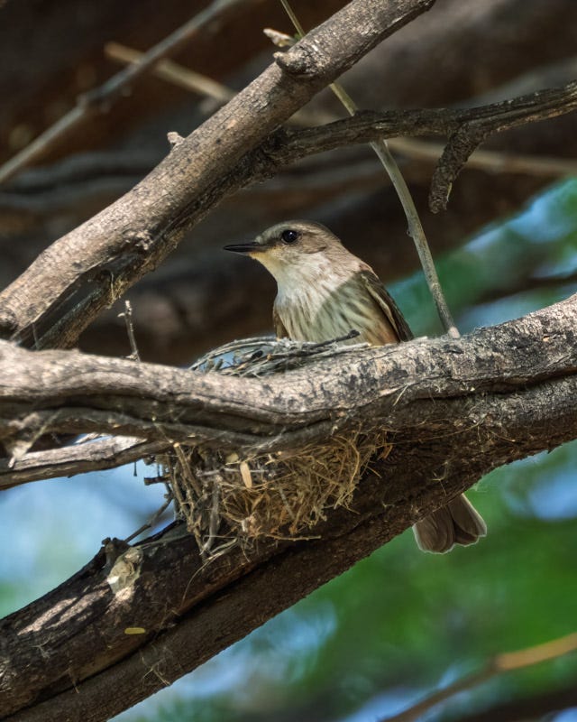 20260330-Sweetwater-116-Edit.jpg 20260330-Sweetwater-116-Edit.jpg