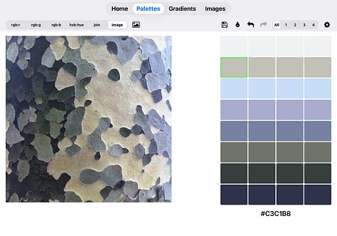 rgbDesigner palettes made from photos of bark