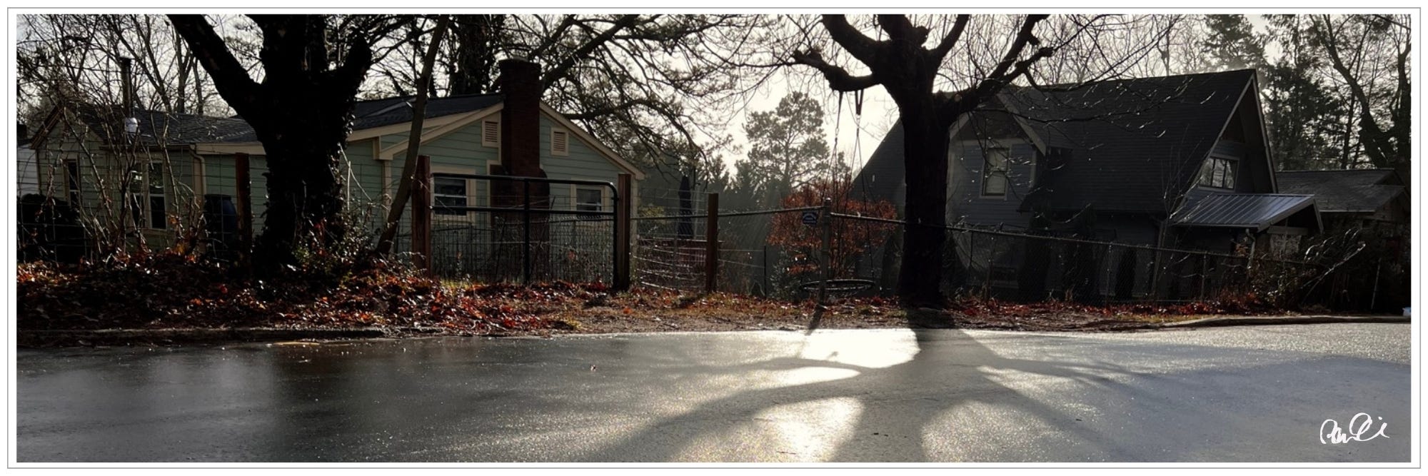 Shadow of tree 'dancing' on the street in morning light