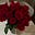 Rose's avatar