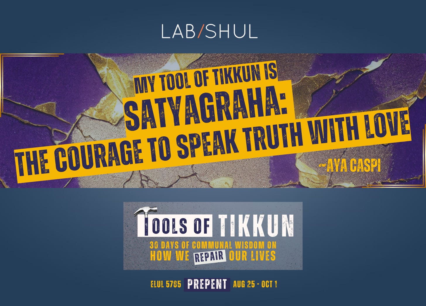 PREPENT Day 13 // My Tool of Tikkun is Satyagraha: The courage to speak Truth with Love