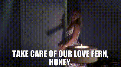 YARN | Take care of our love fern, honey. | How to Lose a Guy in 10 Days (2003) | Video gifs by quotes | da354165 | 紗 YARN | Take care of our love fern, honey. | How to Lose a Guy in 10 Days (2003) | Video gifs by quotes | da354165 | 紗