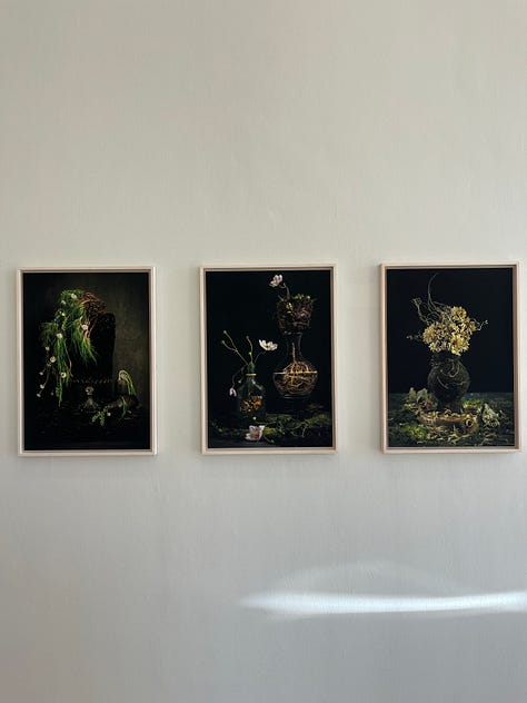 1-2. Constanza Dessain -- Studio Compost / glass, acetate, gelatine, iron salts, washing soda, fruit and vegetables; 3. Fiona Young -- Earth Works / archival pigment prints.
