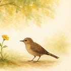 A Blessing for your "What if?"