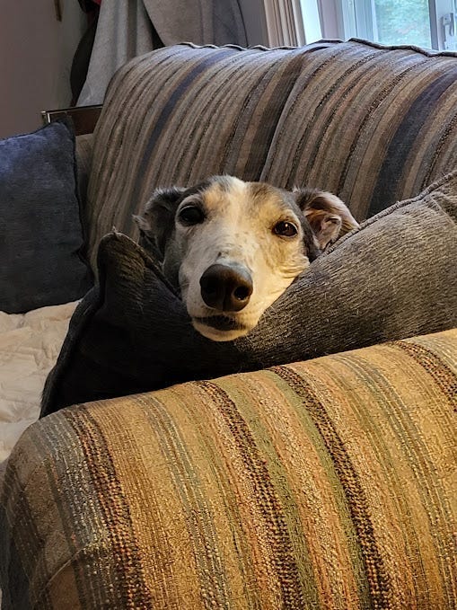 Unconditional love
