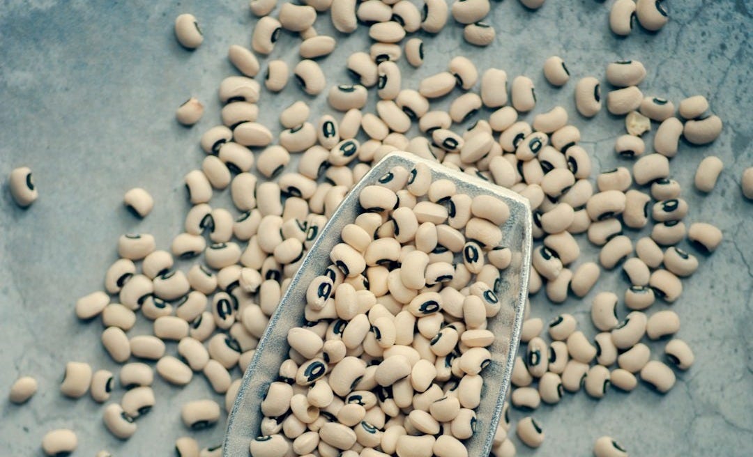 white beans on gray scraper