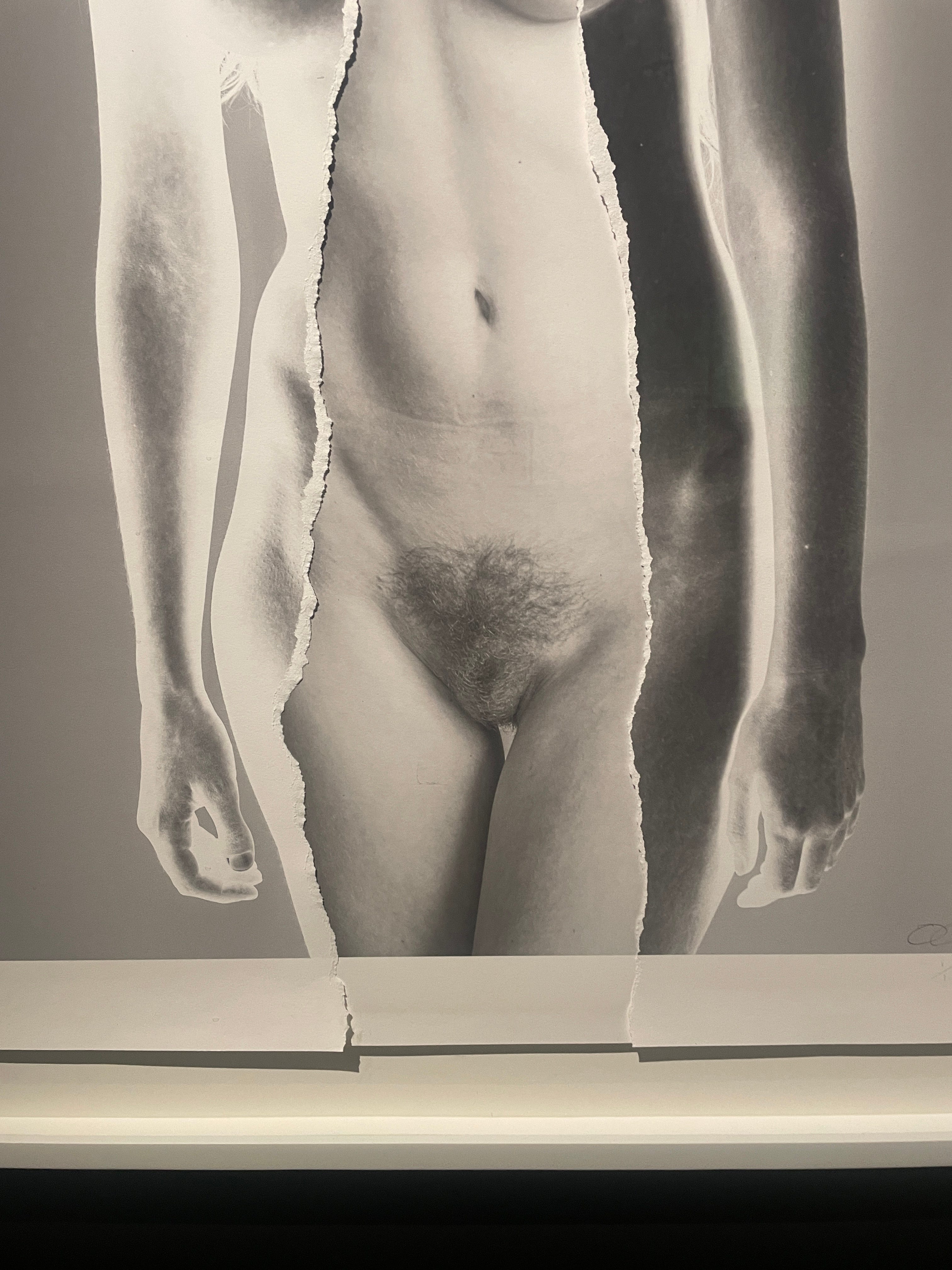 Uncover the artistry of pussy hair styles - sexy pictures of pubic haircuts that tantalize and excite from rule34 and xxx-files for sexual fantasy