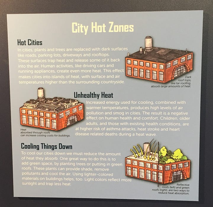 Photos of four signs from the City Science exhibit that give deeper context to exhibit interactives: Neighborhood Design; Director of Traffic (about traffic engineering), City Hot Zones (what causes urban heat islands), and Best Nest (discusses the impact of landscape change on bird biodiversity).