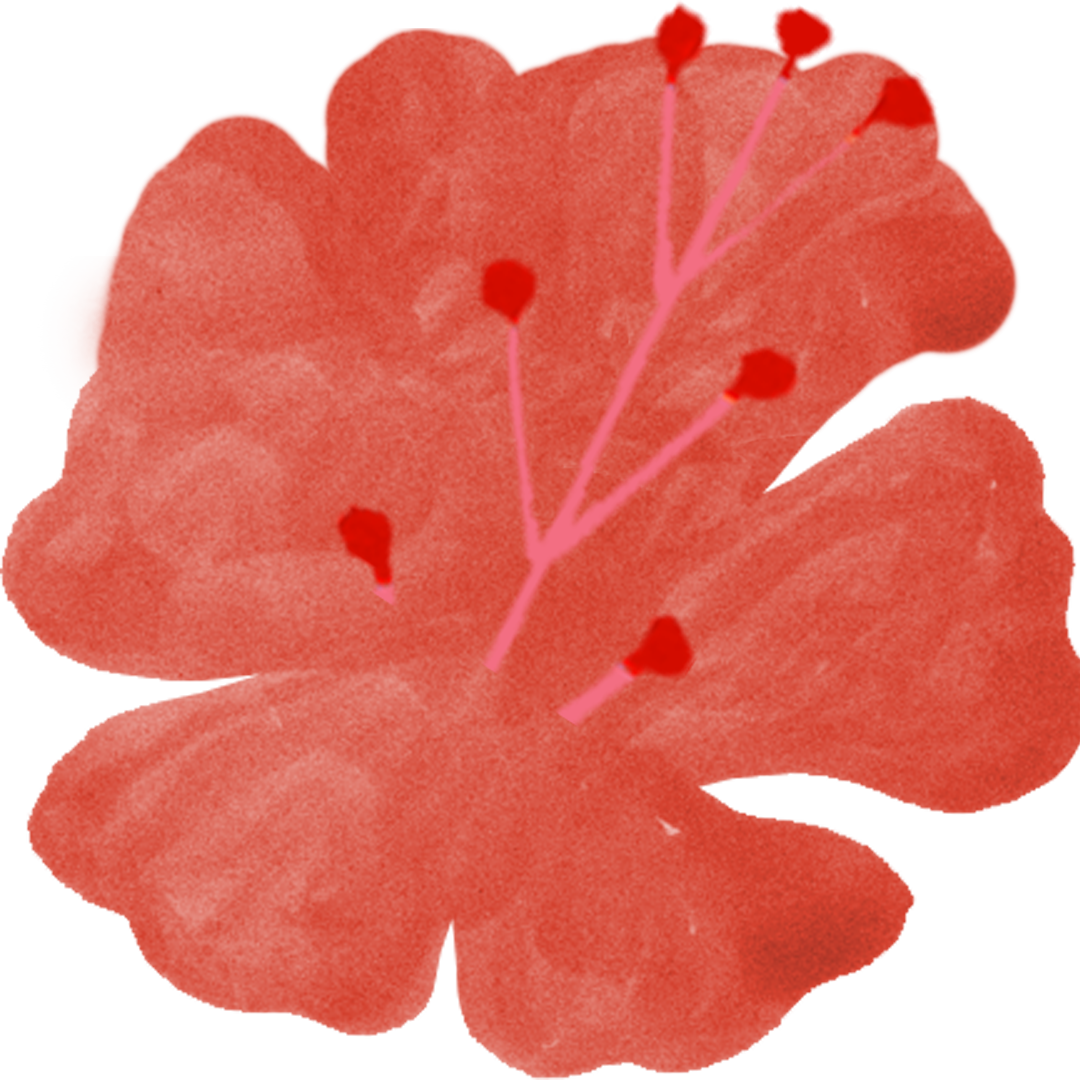 País-Pasarela, el newsletter