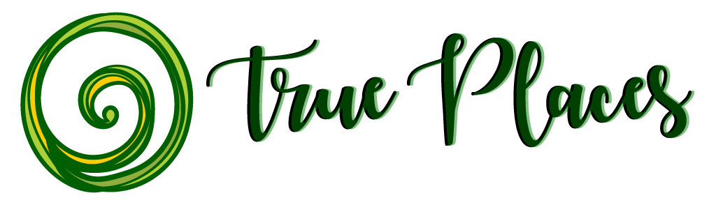 Regeneration Station