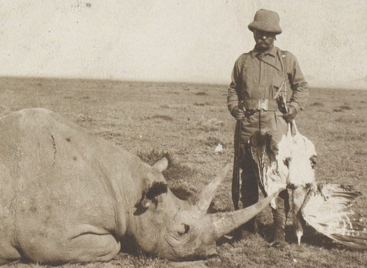 Roosevelt rhino safari
