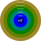 The moral light cone