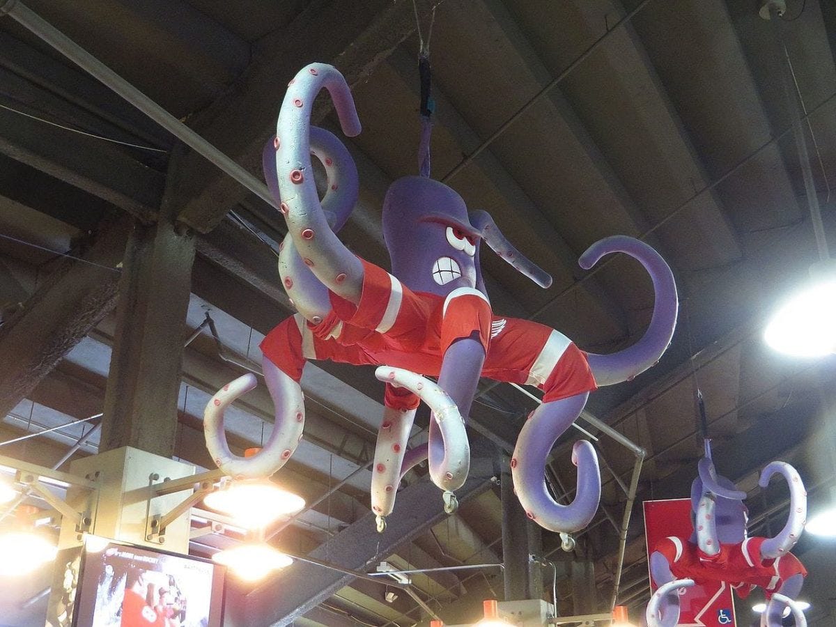 Octopus Detroit Red Wings Octopus Detroit Red Wings