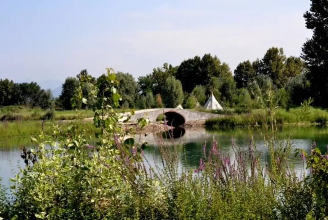 Potrebbe essere un'immagine raffigurante erba e ponte coperto