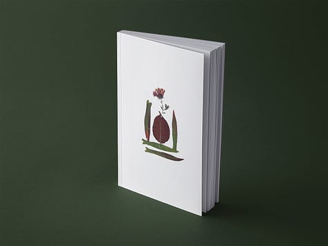 Book Covers Concept