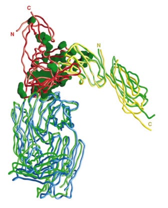 A close-up of a structure

AI-generated content may be incorrect.