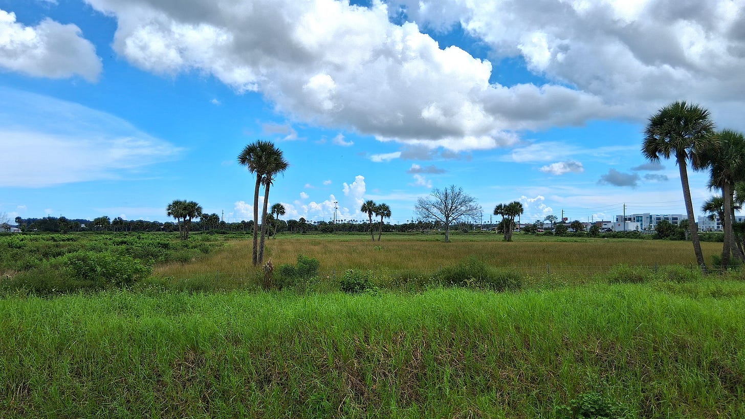 Looking across the vacant 117-acre site that will soon become an Amazon distribution center. West Melbourne, Florida. 2026