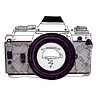 GServo's Photography