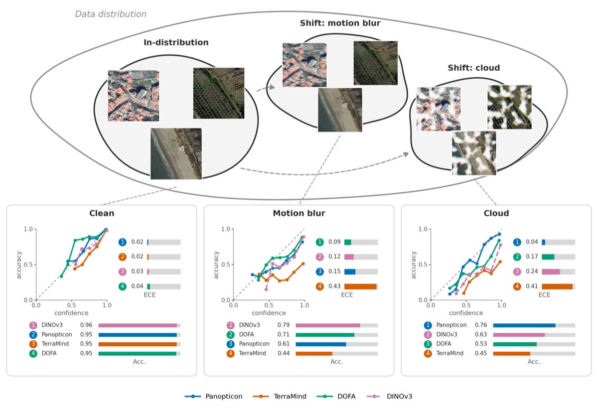 Encoder degradation under corruption and reshuffled calibration rankings Encoder degradation under corruption and reshuffled calibration rankings
