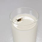 Fly in the Buttermilk