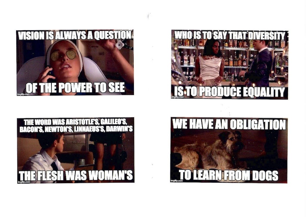A collage of four meme-style images using stills from the TV show Gossip Girl, each overlaid with bold white text quoting feminist theorist Donna Haraway.  Top left: A woman reclines with cucumber slices over her eyes. Text: “VISION IS ALWAYS A QUESTION / OF THE POWER TO SEE.”  Top right: A woman in a white dress and a man in a suit stand at a bar. Text: “WHO IS TO SAY THAT DIVERSITY / IS TO PRODUCE EQUALITY.”  Bottom left: A man in a suit looks toward a woman's legs. Text: “THE WORD WAS ARISTOTLE’S, GALILEO’S, BACON’S, NEWTON’S, LINNAEUS’S, DARWIN’S / THE FLESH WAS WOMAN’S.”  Bottom right: A scruffy dog lies on the floor. Text: “WE HAVE AN OBLIGATION / TO LEARN FROM DOGS.” The juxtaposition humorously blends pop culture with critical theory.