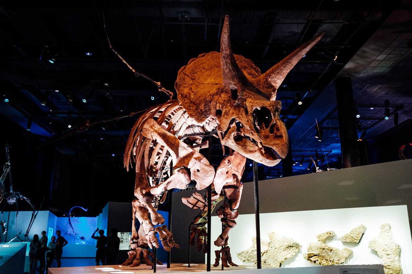 Morian Hall of Paleontology