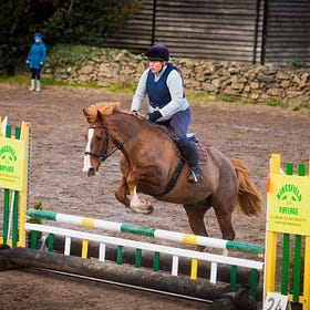 Gold for Aldona at Lisbane Farm