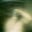 Avatar de Pao