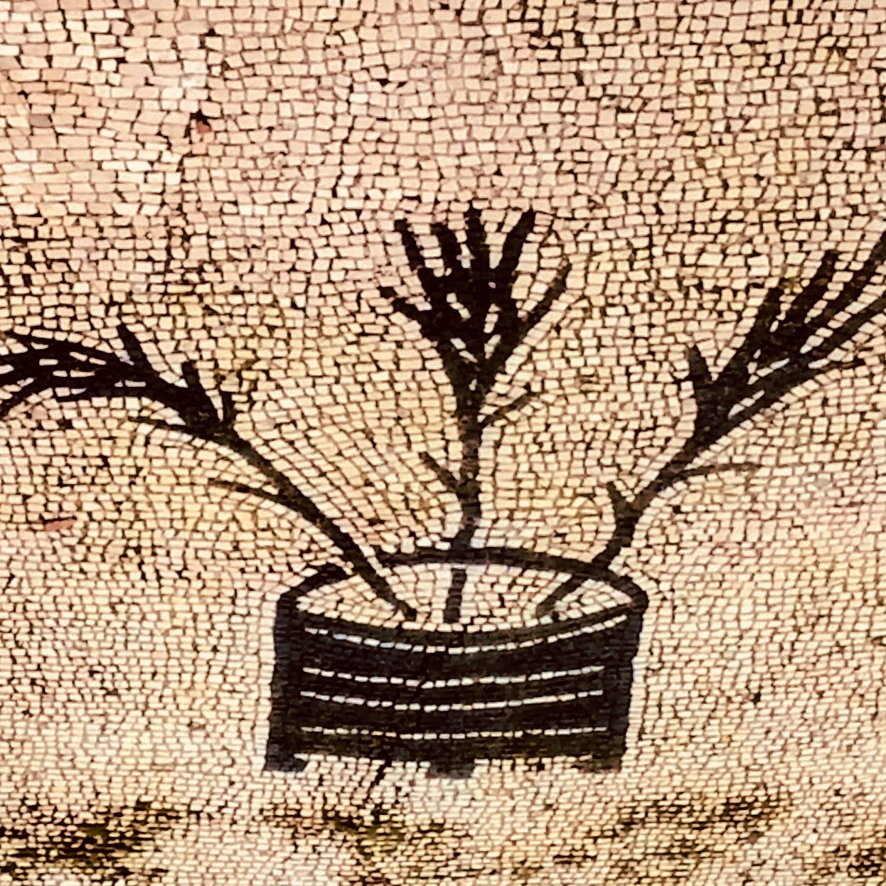 Desperation Casserole