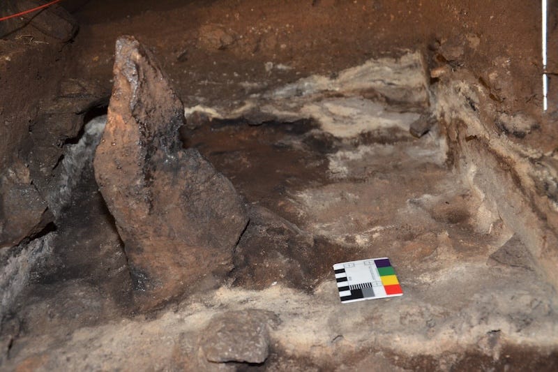 A 2,000-year-old standing stone during excavation. Burnt phytoliths were recovered from the ash layers surrounding the monument. Credit: Bruno David, courtesy of the GunaiKurnai Land and Waters Corporation. A 2,000-year-old standing stone during excavation. Burnt phytoliths were recovered from the ash layers surrounding the monument. Credit: Bruno David, courtesy of the GunaiKurnai Land and Waters Corporation.