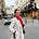 Mary Beth Myers's avatar