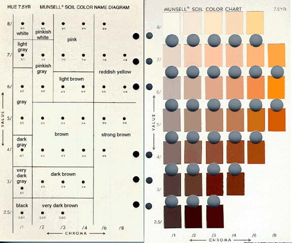Photograph of a Munsell® Soil Color Chart opened to display rows of small, rectangular color chips arranged in a grid. The chips range from pale tans and grays to deep reds and browns. The chart organizes colors by hue, value, and chroma in labeled columns and rows. The caption notes that, unlike proprietary systems that assign fixed names to single shades, the Munsell chart maps a relational field of variation, allowing soil color to be described as position and condition rather than product.