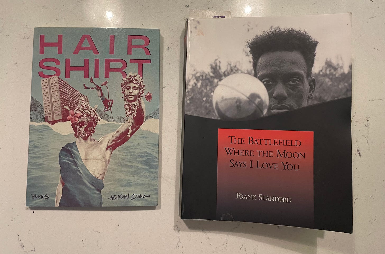 HAIR SHIRT by Adrian Sobol and The Battlefield Where The Moon Says I Love You by Frank Stanford
