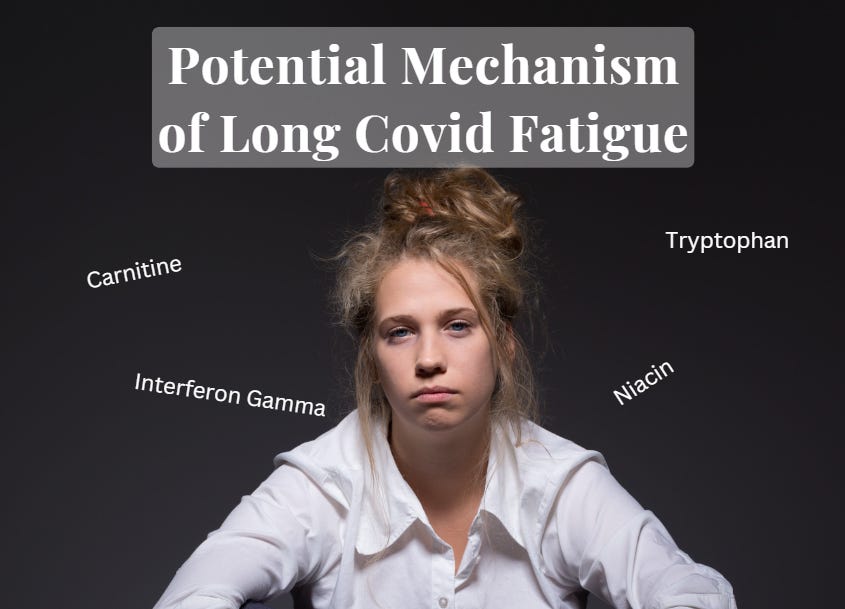 Long COVID Fatigue: The Mystery Unveiled