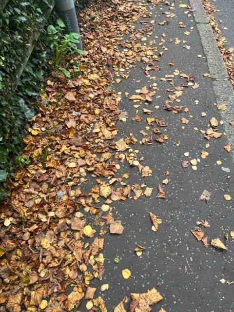 Image By Author - Autumn Leaves
