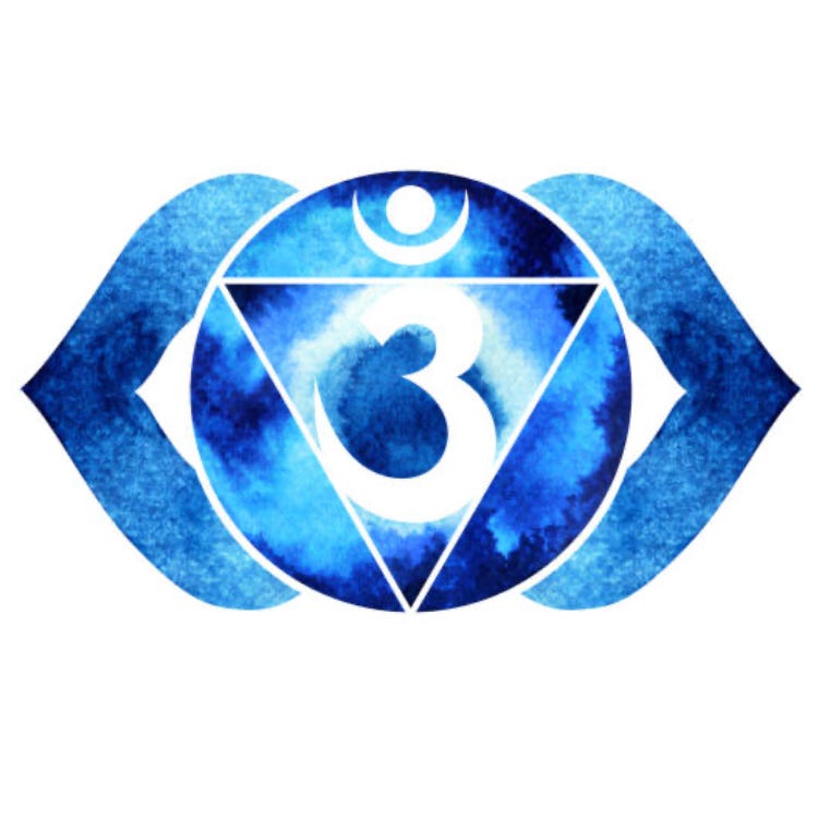 The Healing Circle by Holly Holbrook