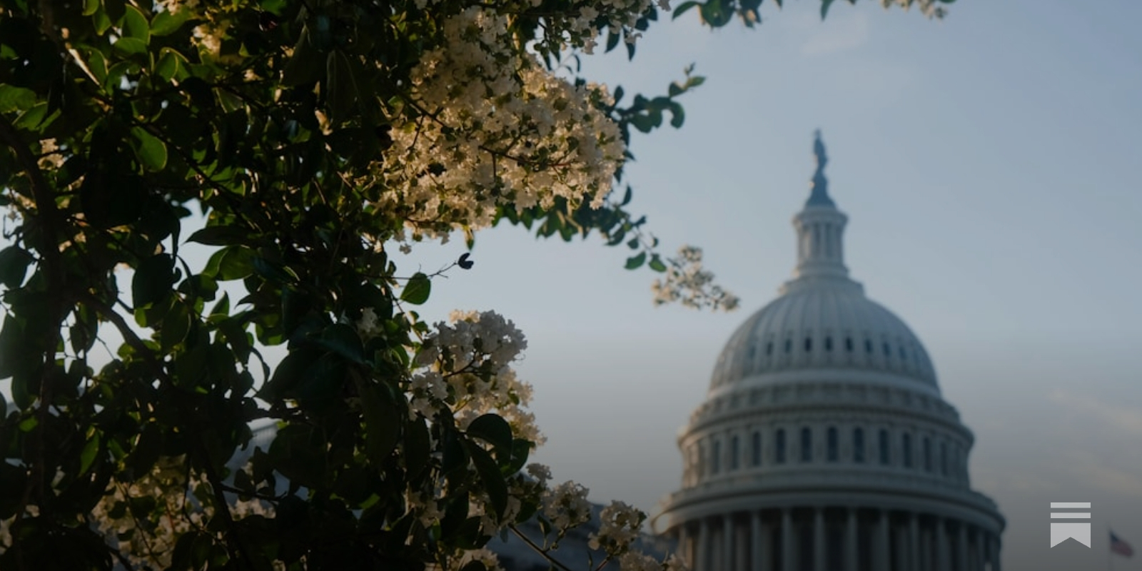 100+ Crypto Firms Unite for DeFi Protections in Market Structure Bill