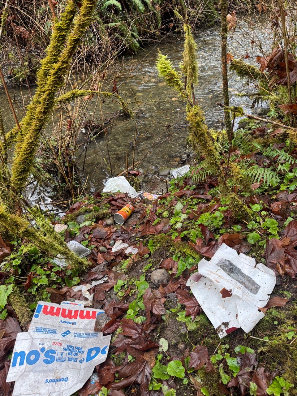 A stream with trash and plastic bags

Description automatically generated with medium confidence
