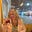Elaine Bell's avatar