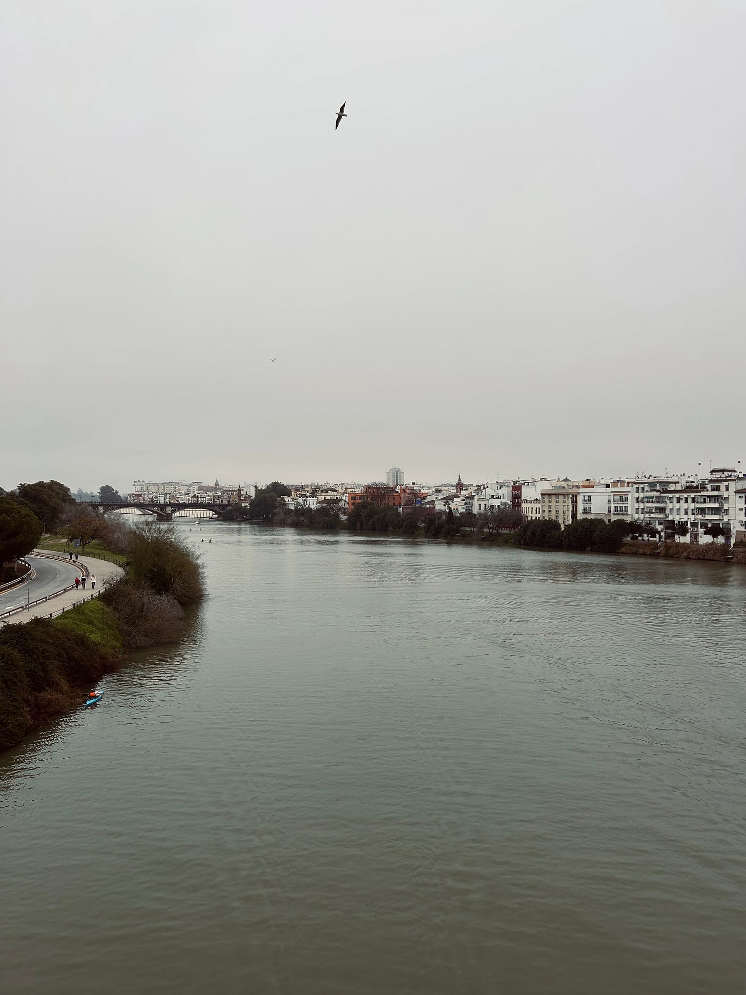 An overcast day. The vantage point from a bridge, looking out over the river. There are buildings on the right side, and a lone kayak on the left.