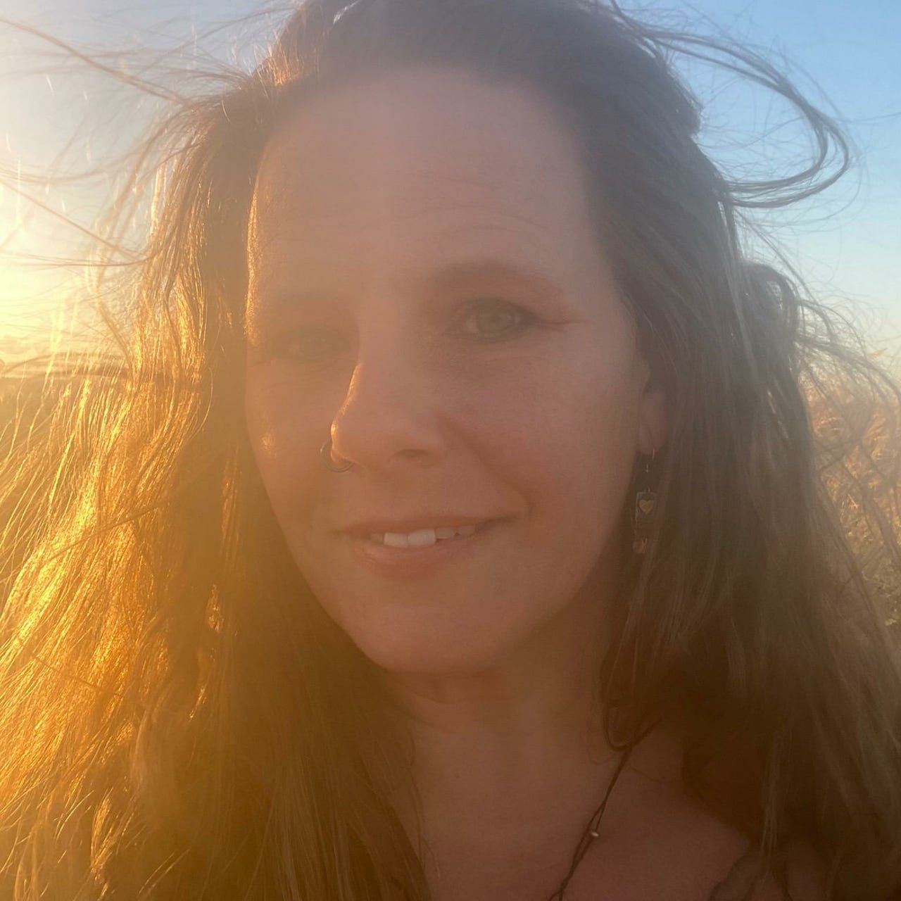 The Midnight Carnival