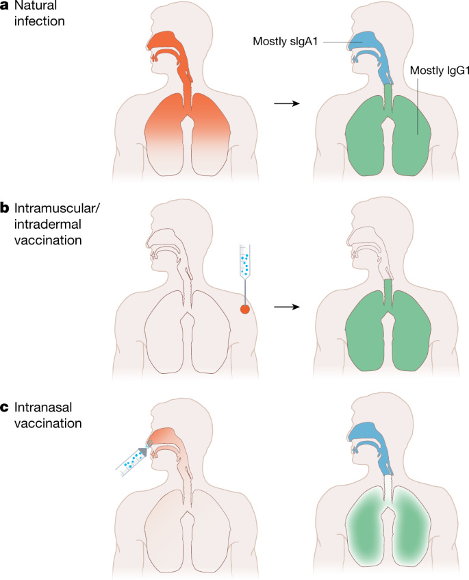 figure 2 figure 2