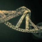 Inversions: Your DNA Is Still Running Your Legacy