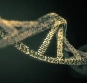 Inversions: Your DNA Is the Script the Whole Line Is Still Running