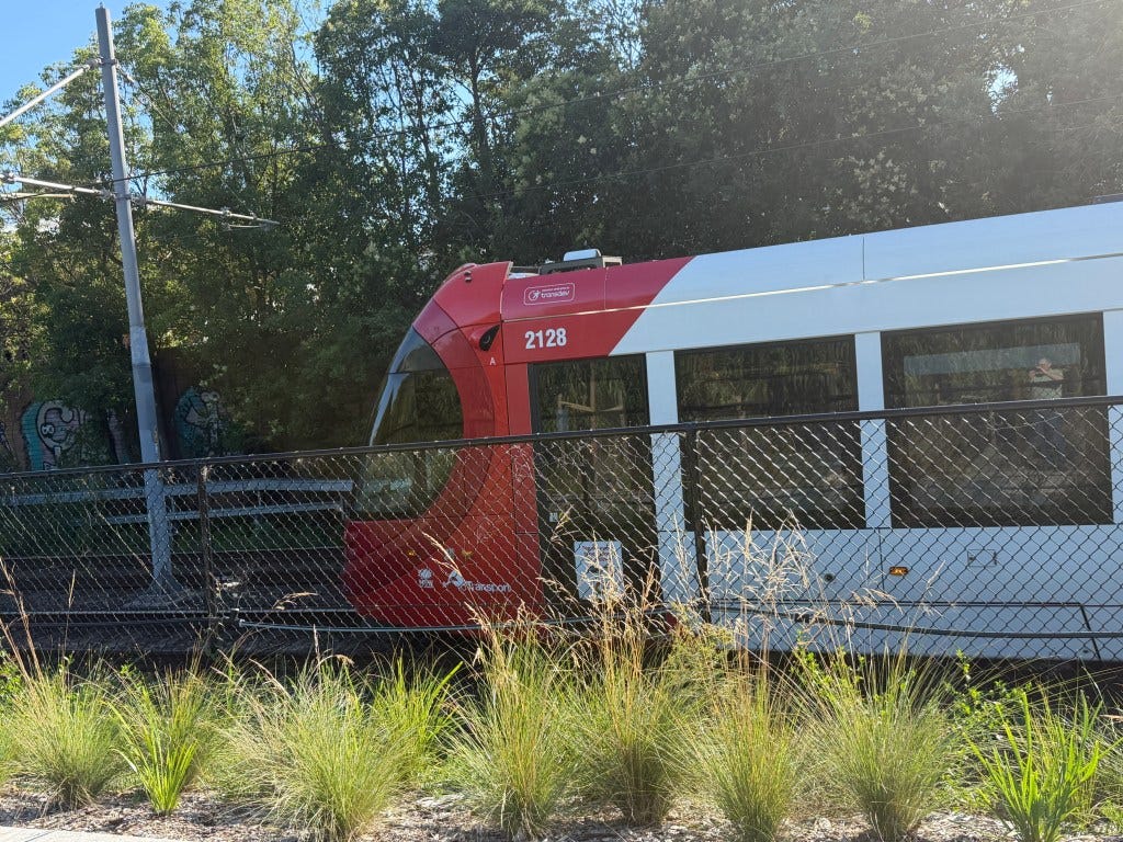 Current image: A view of an L1 LRT Train from the Inner West GreenWay Current image: A view of an L1 LRT Train from the Inner West GreenWay