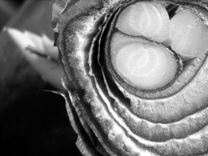 Close up of layers inside onion