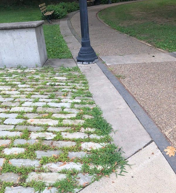 Belgian Blocks in Venson Park