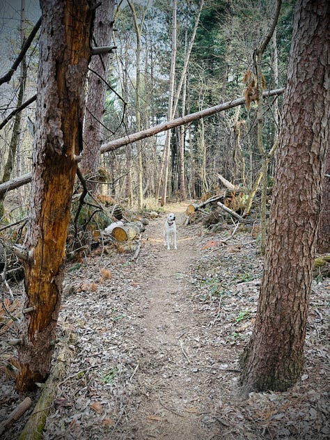 boring day to day photos