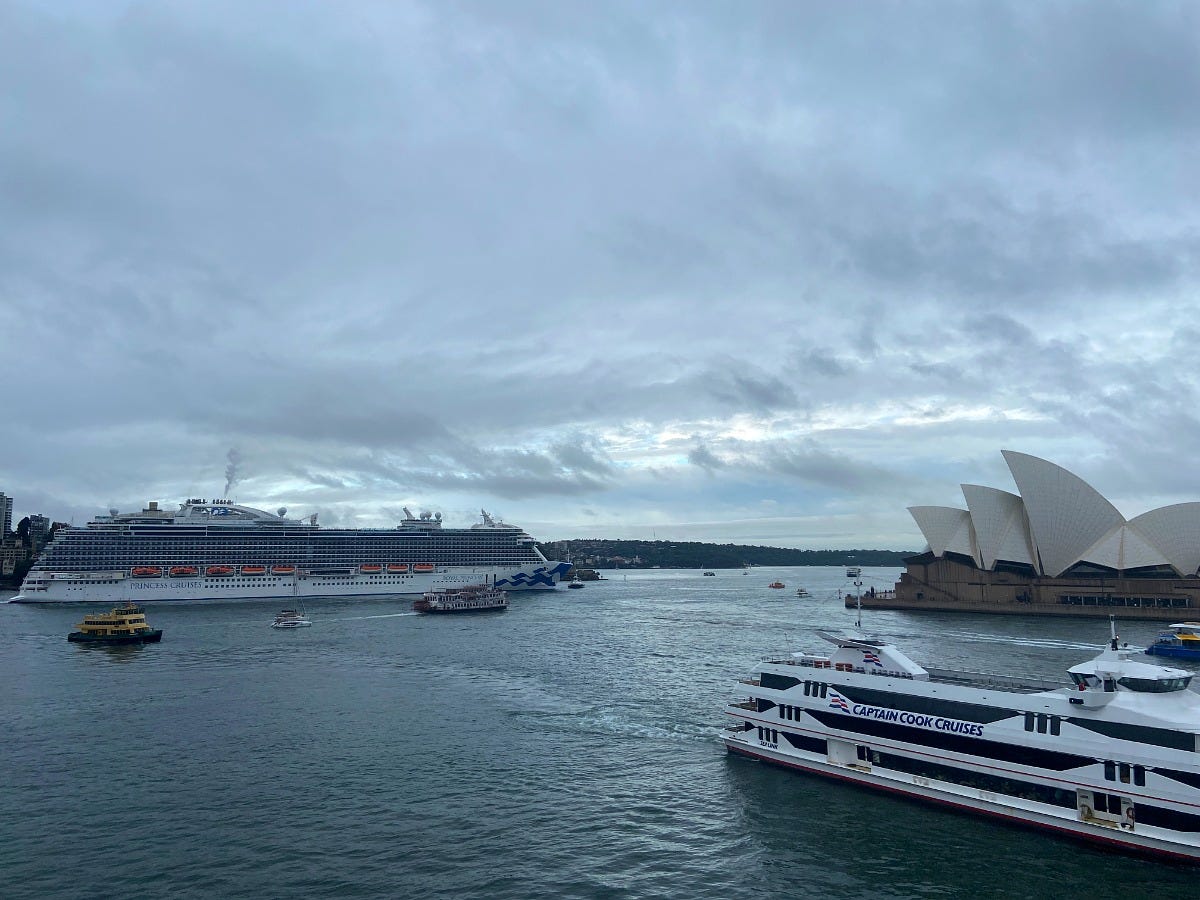 Royal Princess in Sydney in 2025. Image: JustARandomEditor123 via Wikimedia Commons