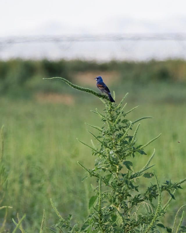 20250908-Manville-296-Edit.jpg 20250908-Manville-296-Edit.jpg